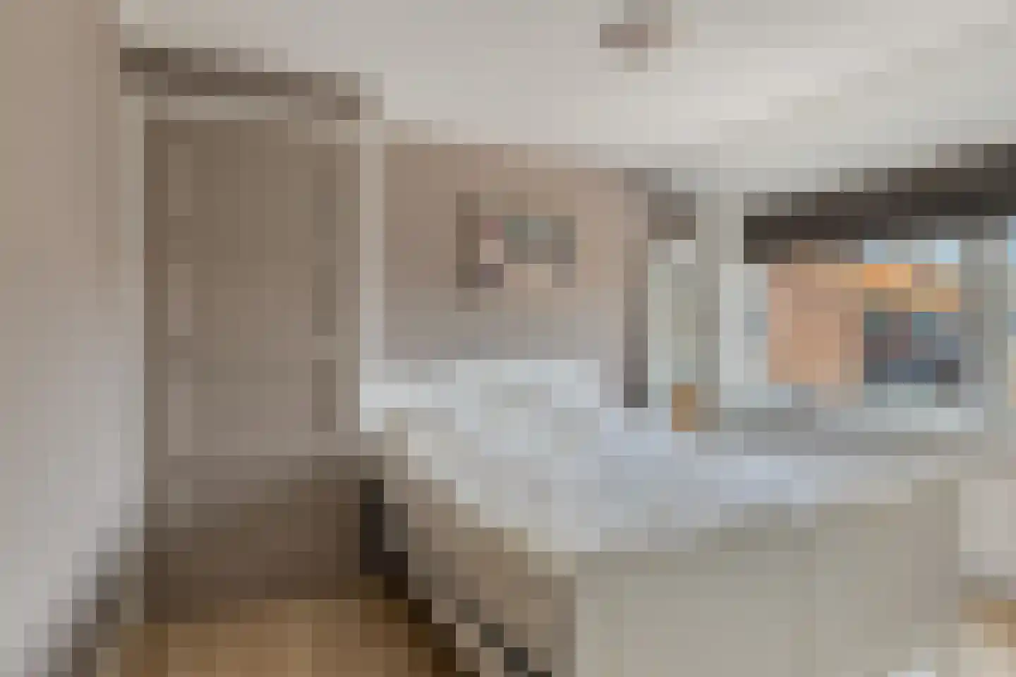Hondegemsweg 17 Grijpskerke thumbnail 29