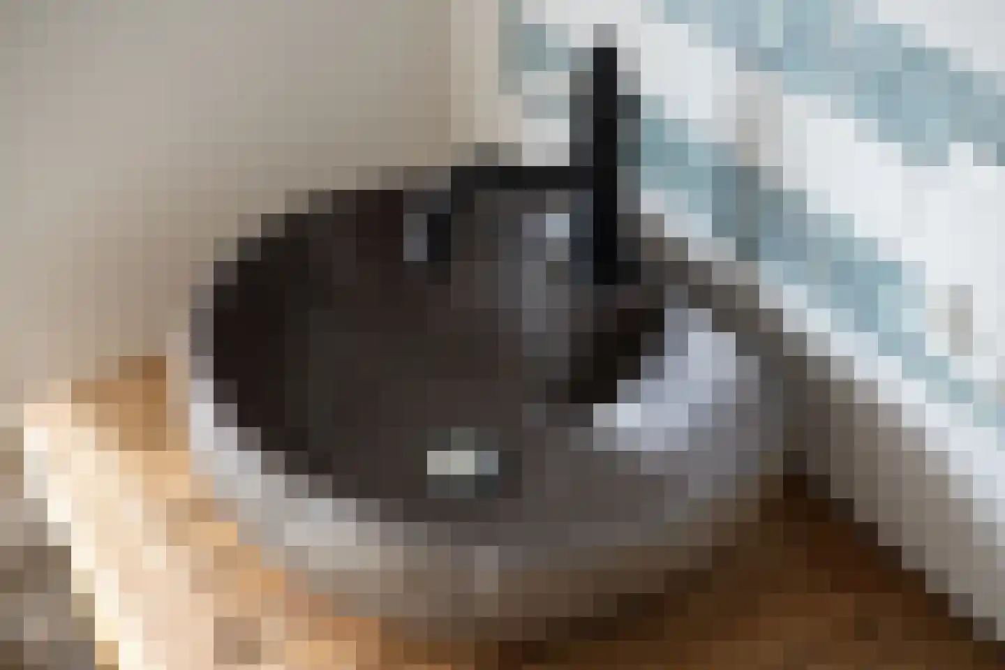Hondegemsweg 17 Grijpskerke thumbnail 31