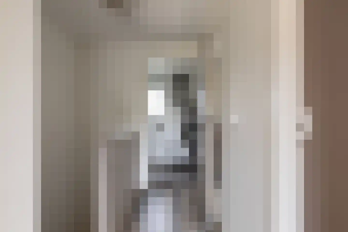 Hondegemsweg 17 Grijpskerke thumbnail 33