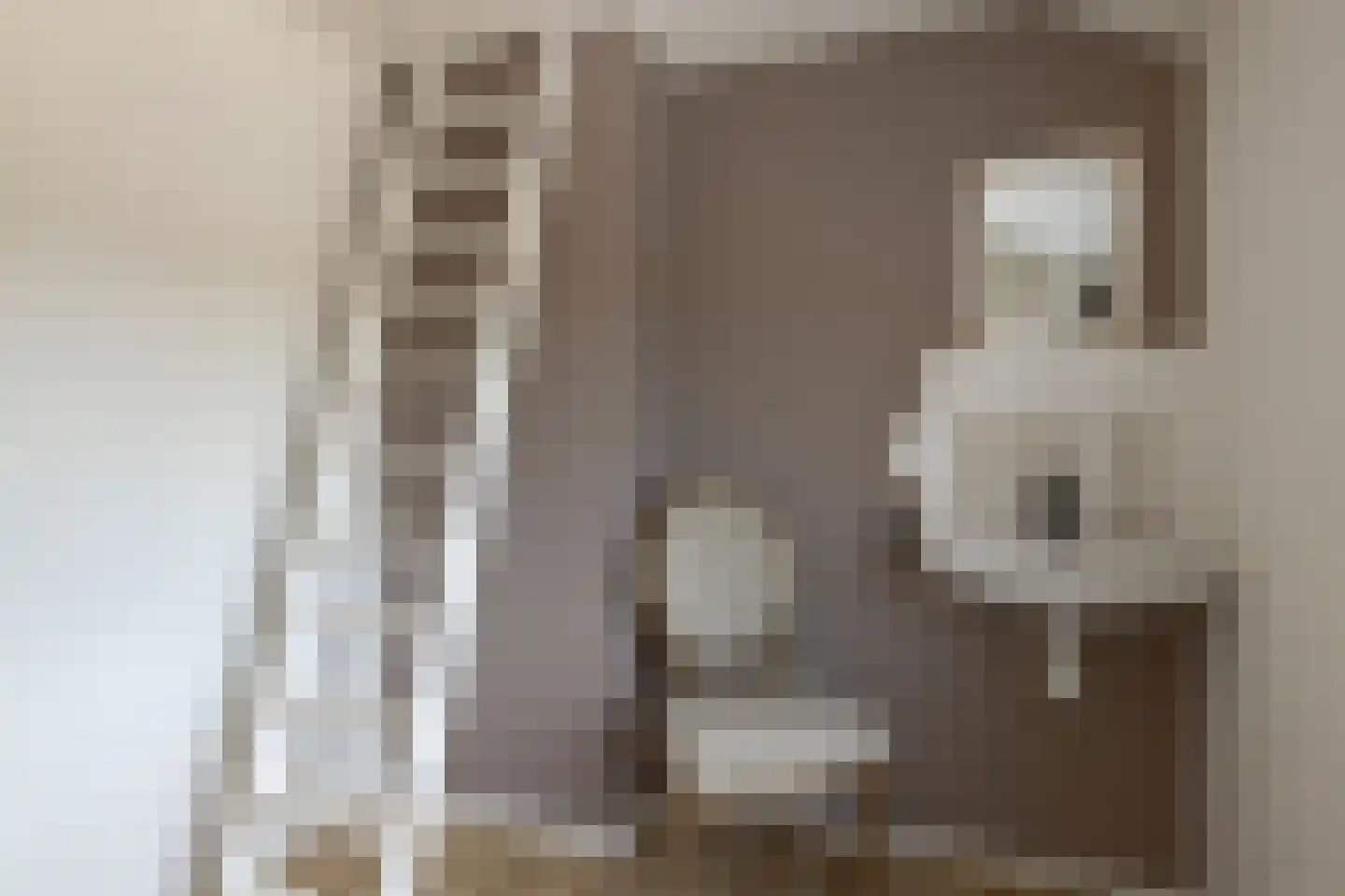 Hondegemsweg 17 Grijpskerke thumbnail 38