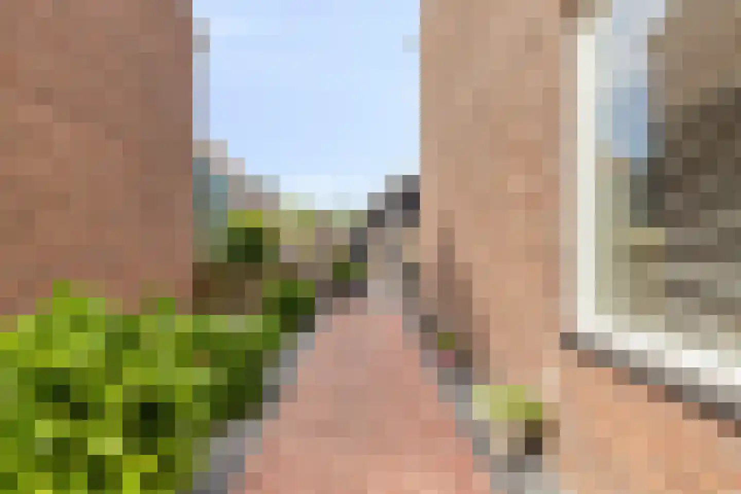 Hondegemsweg 17 Grijpskerke thumbnail 40