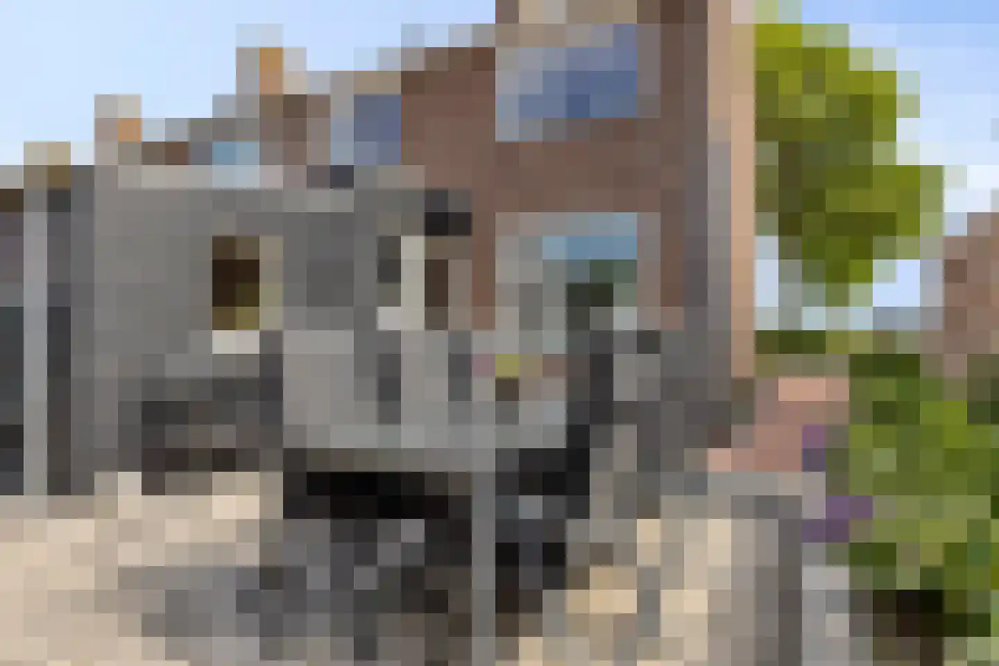 Hondegemsweg 17 Grijpskerke thumbnail 41