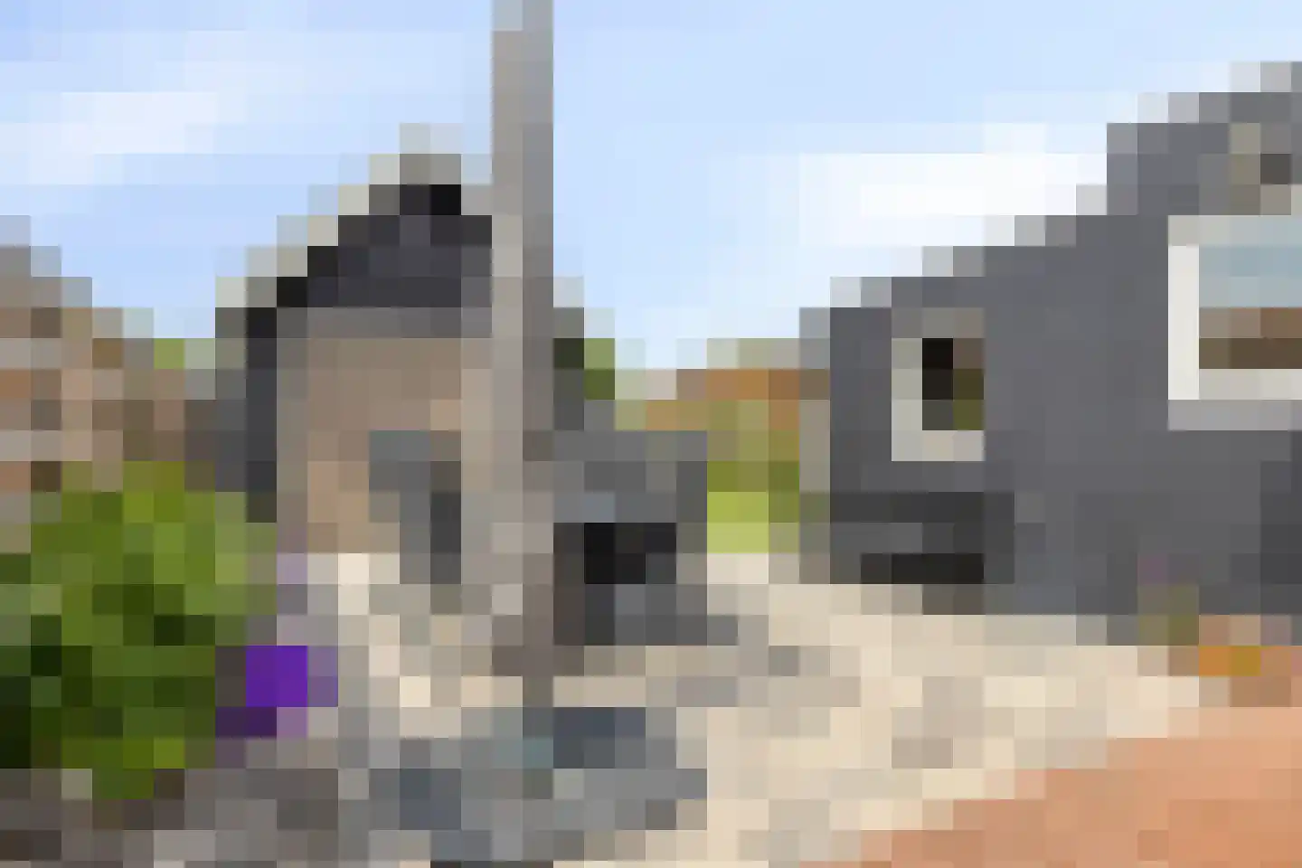 Hondegemsweg 17 Grijpskerke thumbnail 42