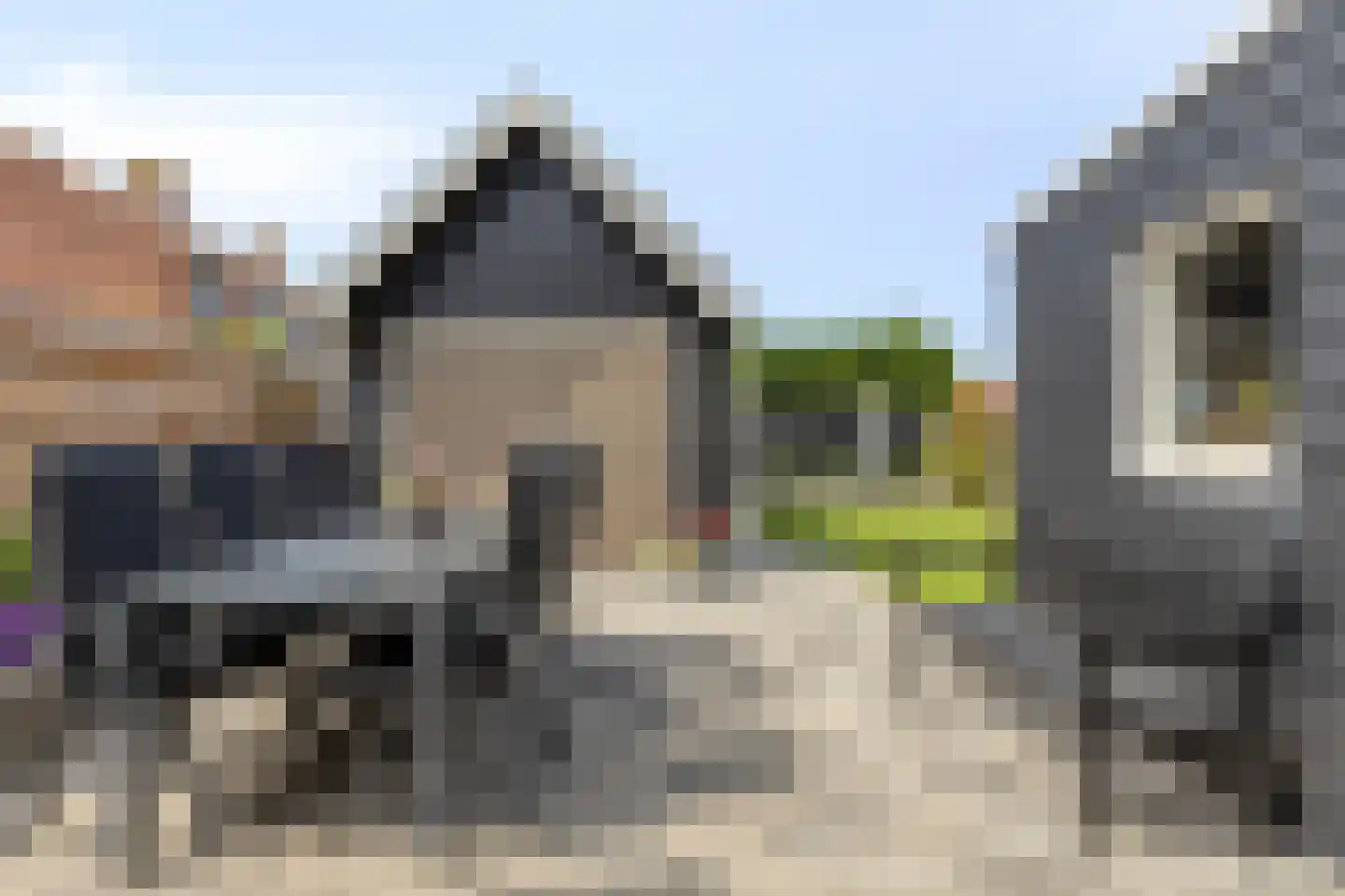 Hondegemsweg 17 Grijpskerke thumbnail 43