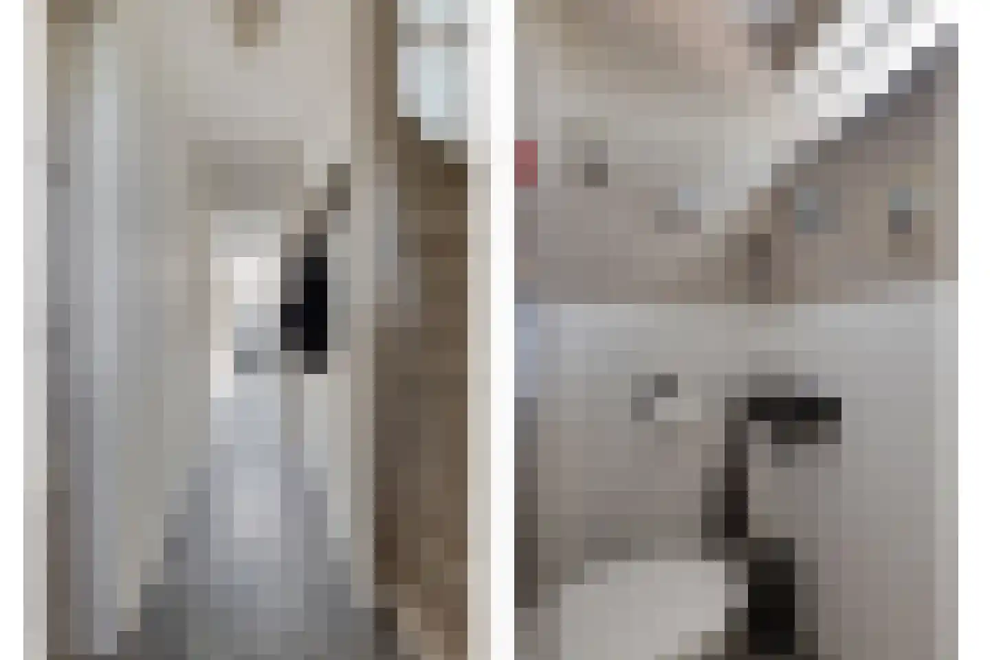 Hondegemsweg 17 Grijpskerke thumbnail 5