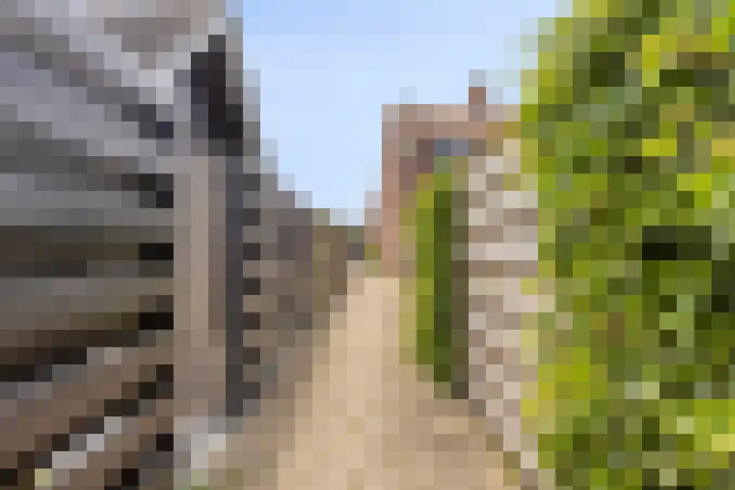 Hondegemsweg 17 Grijpskerke thumbnail 53