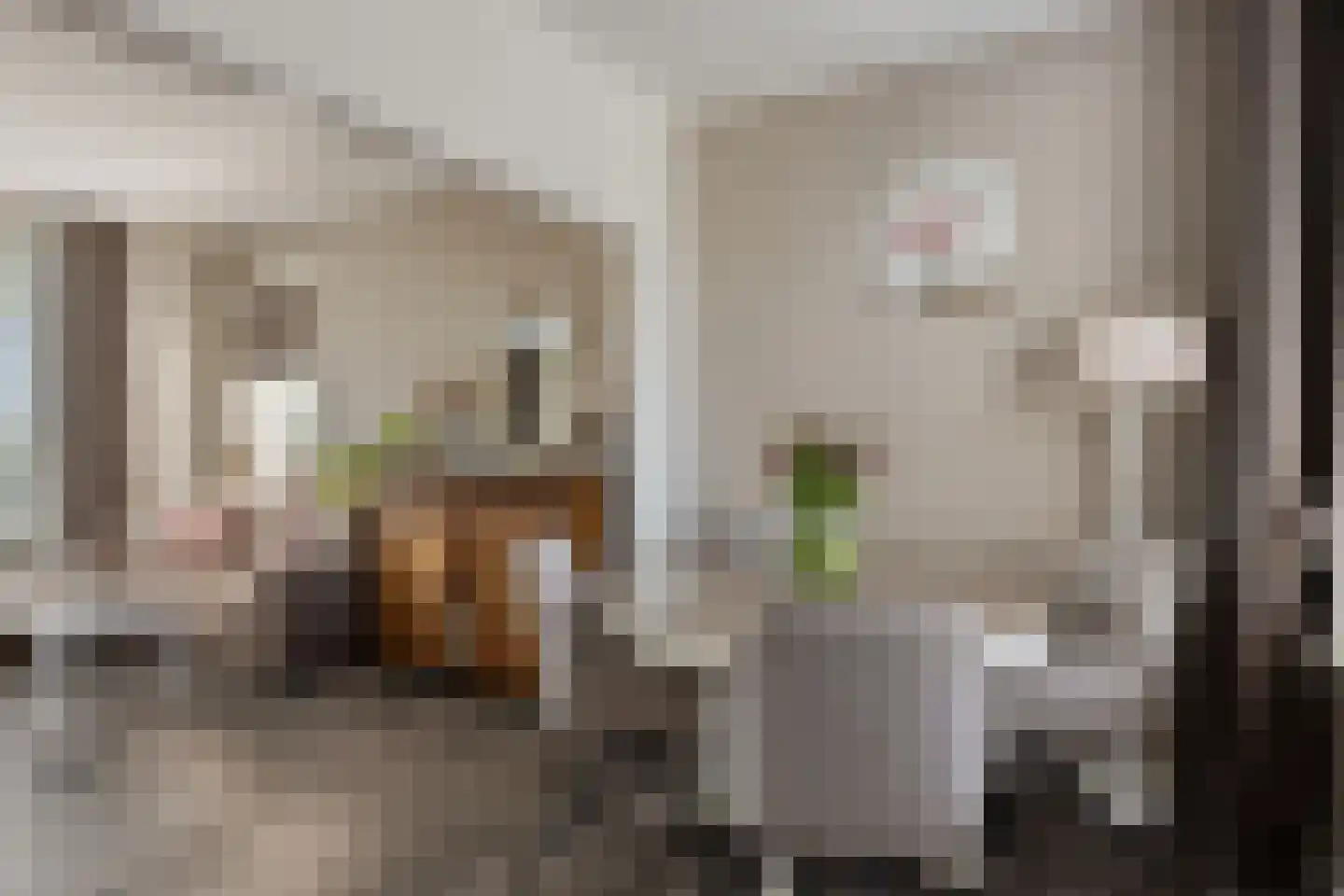 Hondegemsweg 17 Grijpskerke thumbnail 6