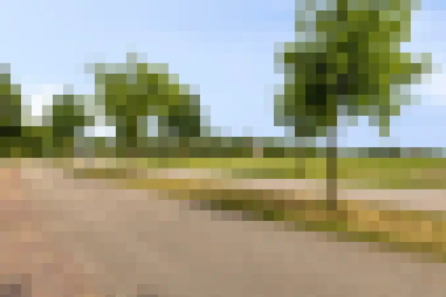 Hondegemsweg 17 Grijpskerke thumbnail 60
