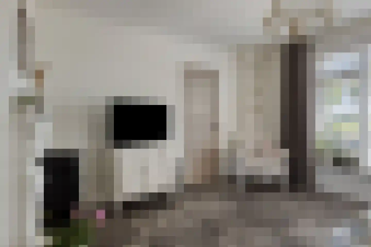 Hondegemsweg 17 Grijpskerke thumbnail 9