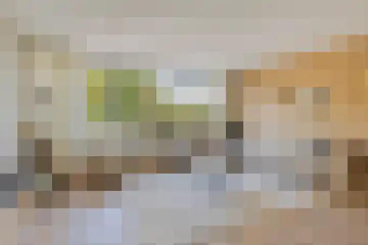 Hondelink 118 Haaksbergen thumbnail 11
