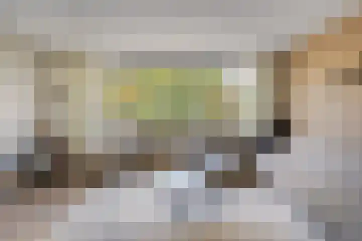 Hondelink 118 Haaksbergen thumbnail 12