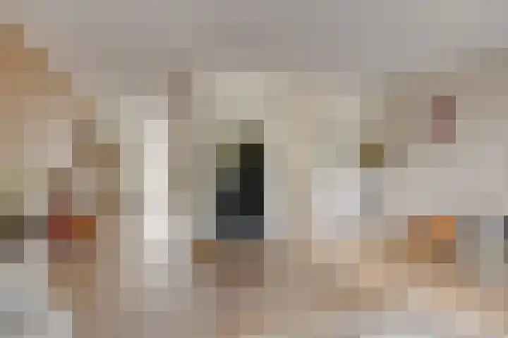 Hondelink 118 Haaksbergen thumbnail 14
