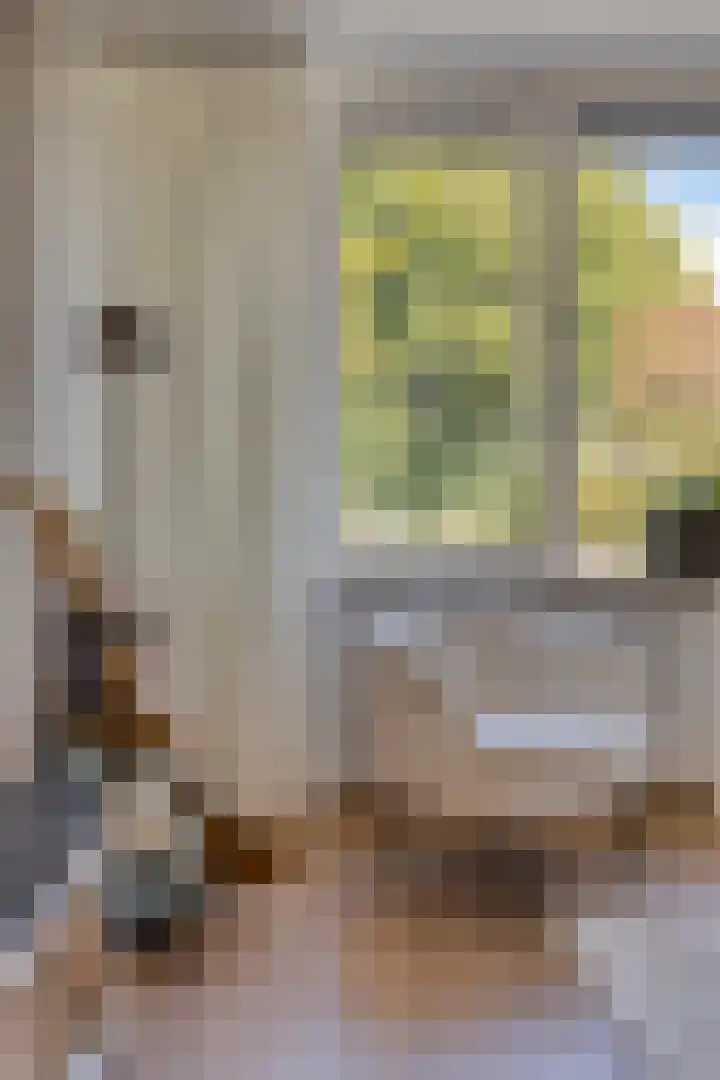 Hondelink 118 Haaksbergen thumbnail 16