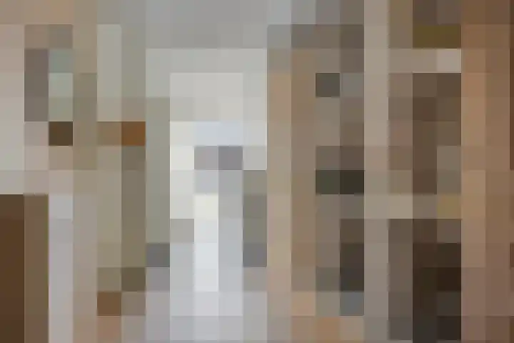 Hondelink 118 Haaksbergen thumbnail 17