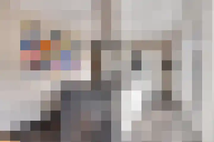 Hondelink 118 Haaksbergen thumbnail 19