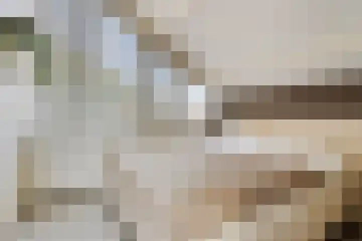 Hondelink 118 Haaksbergen thumbnail 24