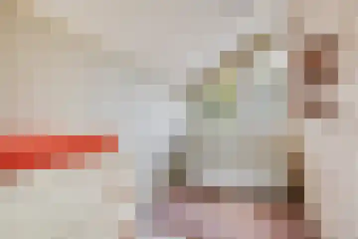 Hondelink 118 Haaksbergen thumbnail 31
