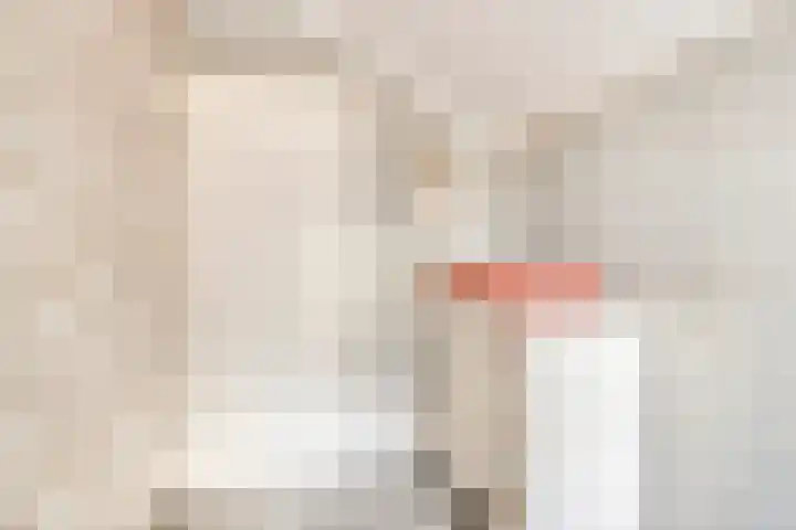 Hondelink 118 Haaksbergen thumbnail 32