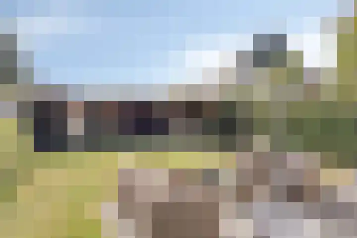 Hondelink 118 Haaksbergen thumbnail 33