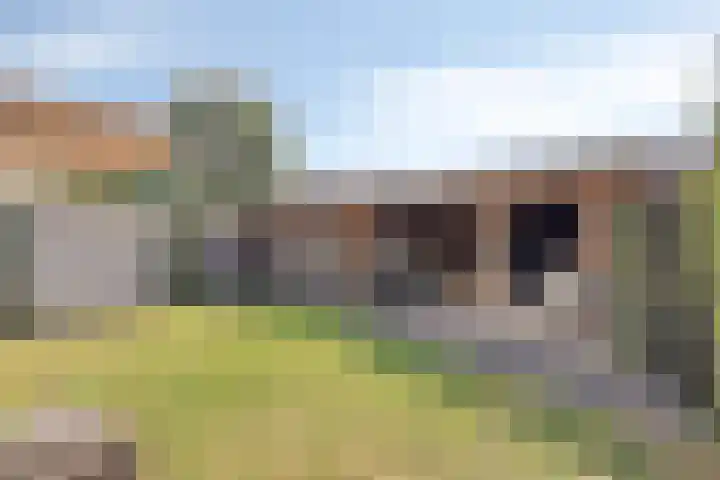 Hondelink 118 Haaksbergen thumbnail 34