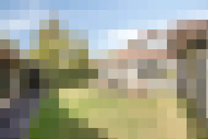 Hondelink 118 Haaksbergen thumbnail 37