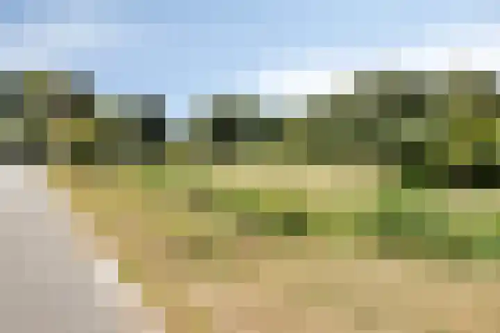 Hondelink 118 Haaksbergen thumbnail 39