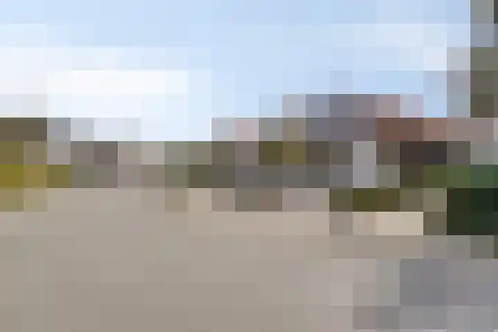 Hondelink 118 Haaksbergen thumbnail 4