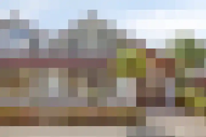 Hondelink 118 Haaksbergen thumbnail 5