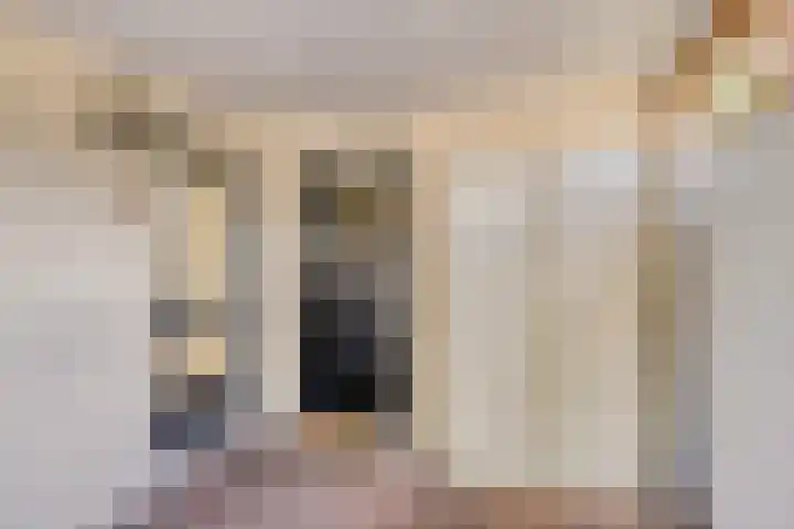 Hondelink 118 Haaksbergen thumbnail 7