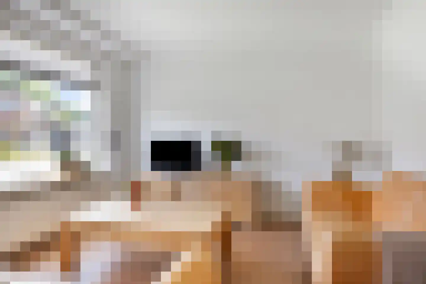 Hondelink 12 Haaksbergen thumbnail 13