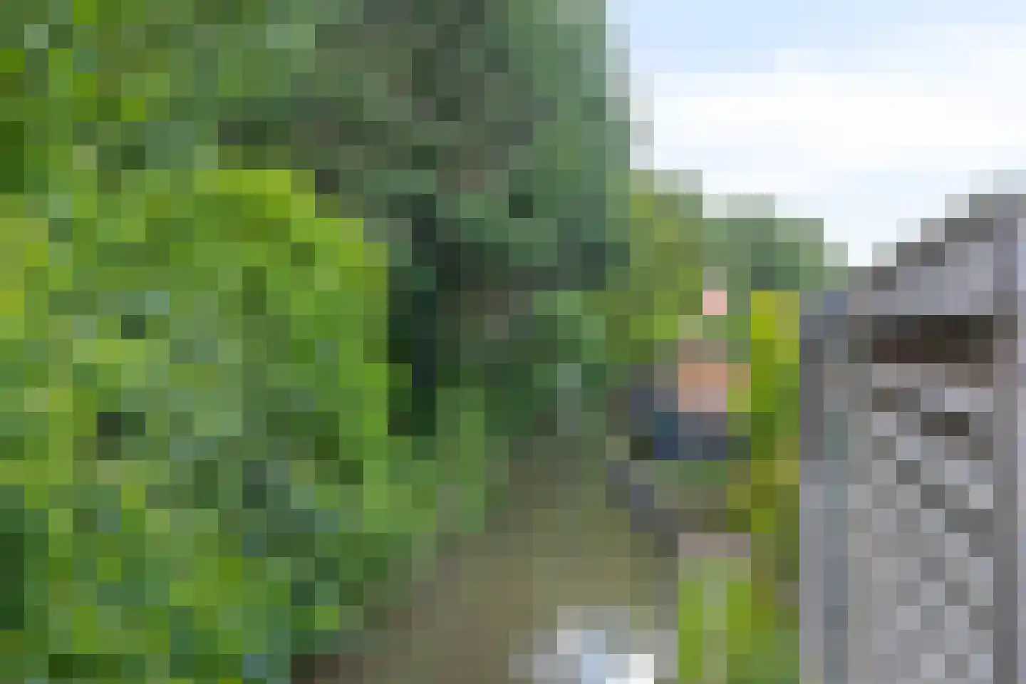 Hondelink 12 Haaksbergen thumbnail 38
