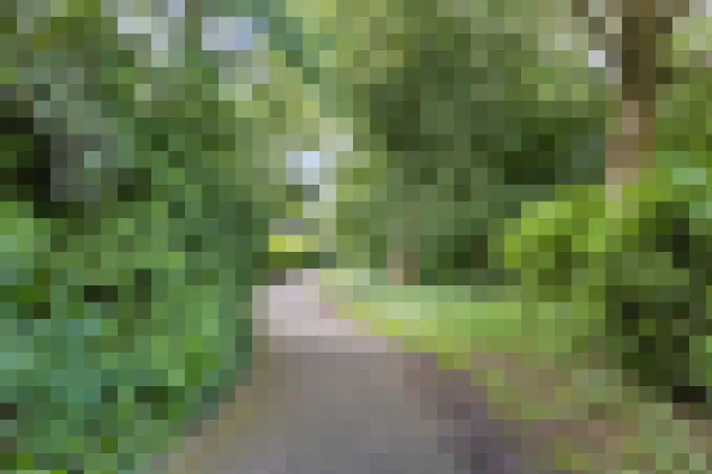 Hondelink 12 Haaksbergen thumbnail 39