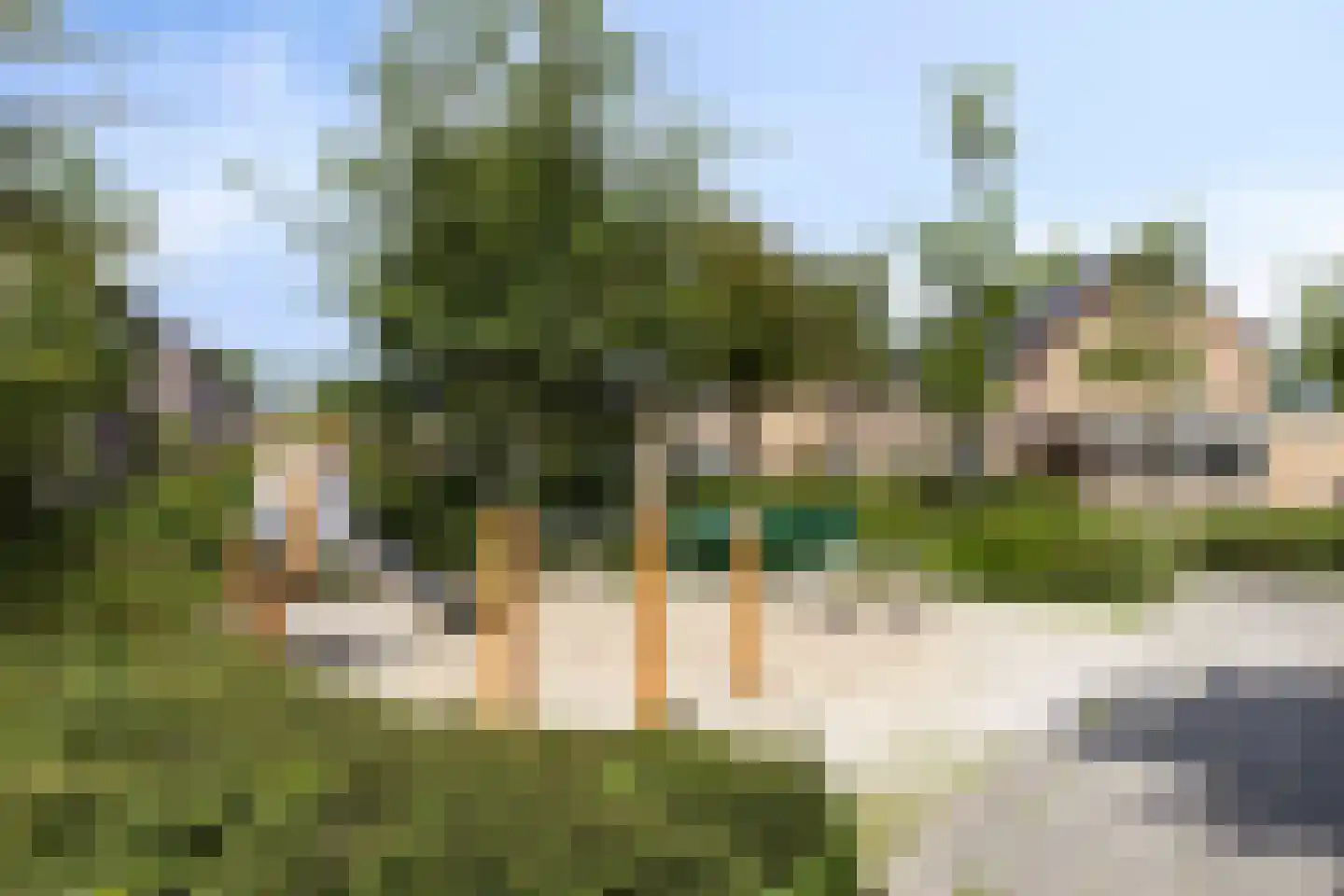 Hondelink 12 Haaksbergen thumbnail 40