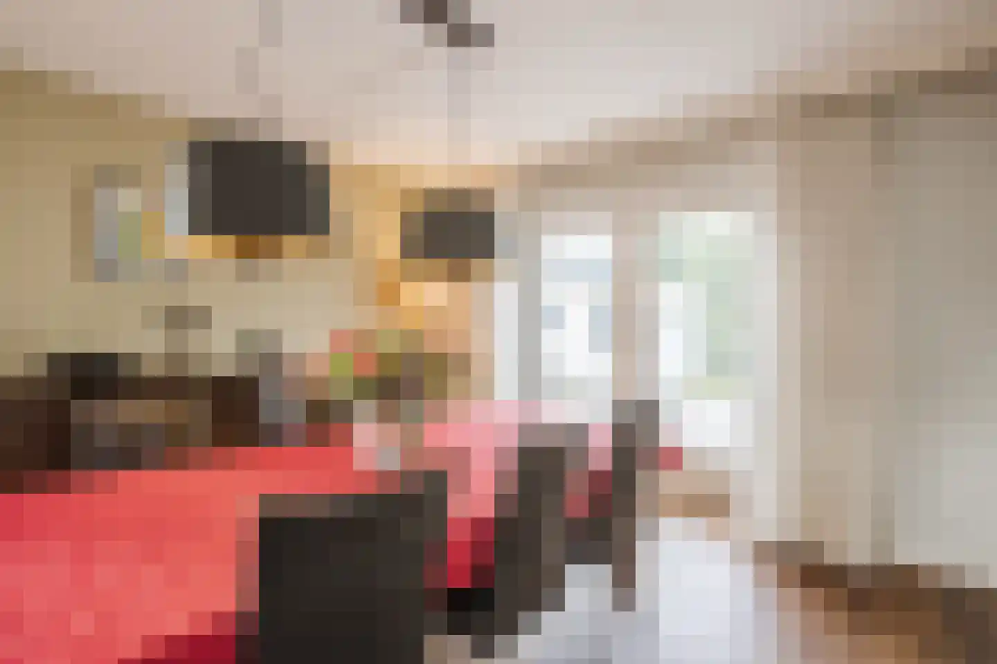 Hondelink 149 Haaksbergen thumbnail 10
