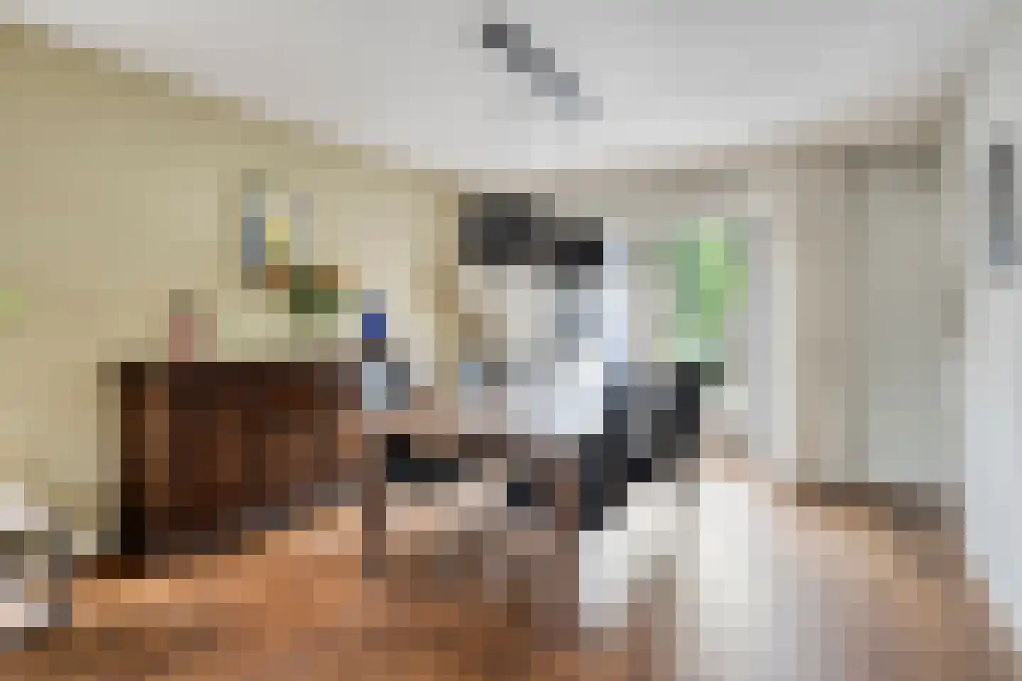 Hondelink 149 Haaksbergen thumbnail 15