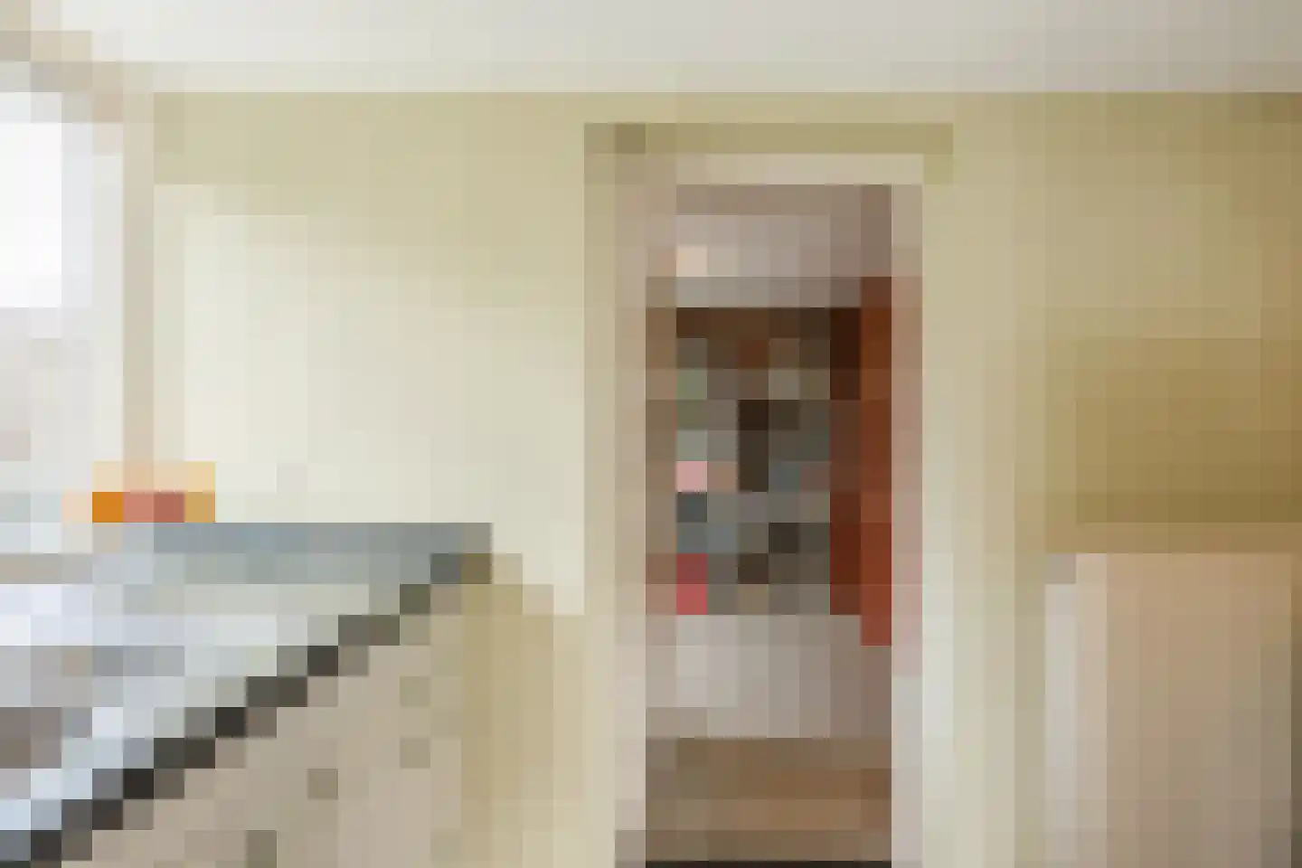 Hondelink 149 Haaksbergen thumbnail 18