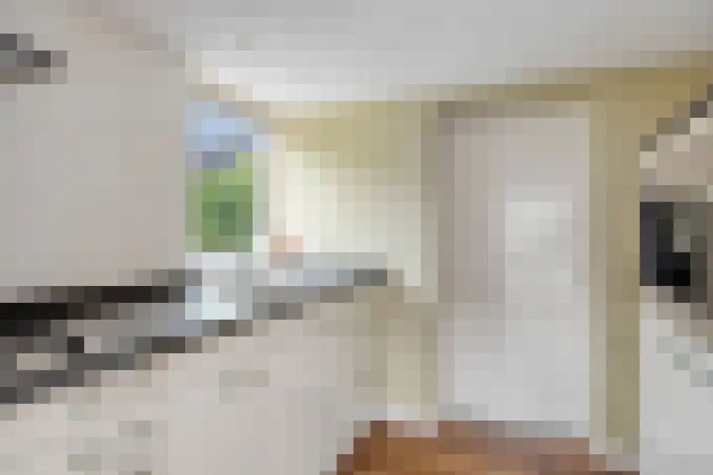 Hondelink 149 Haaksbergen thumbnail 20