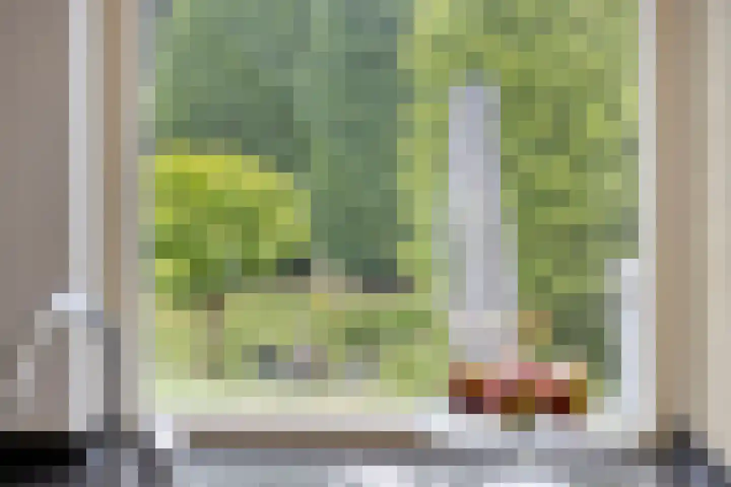 Hondelink 149 Haaksbergen thumbnail 21
