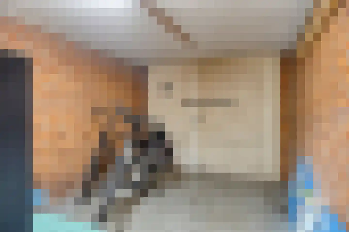 Hondelink 149 Haaksbergen thumbnail 26