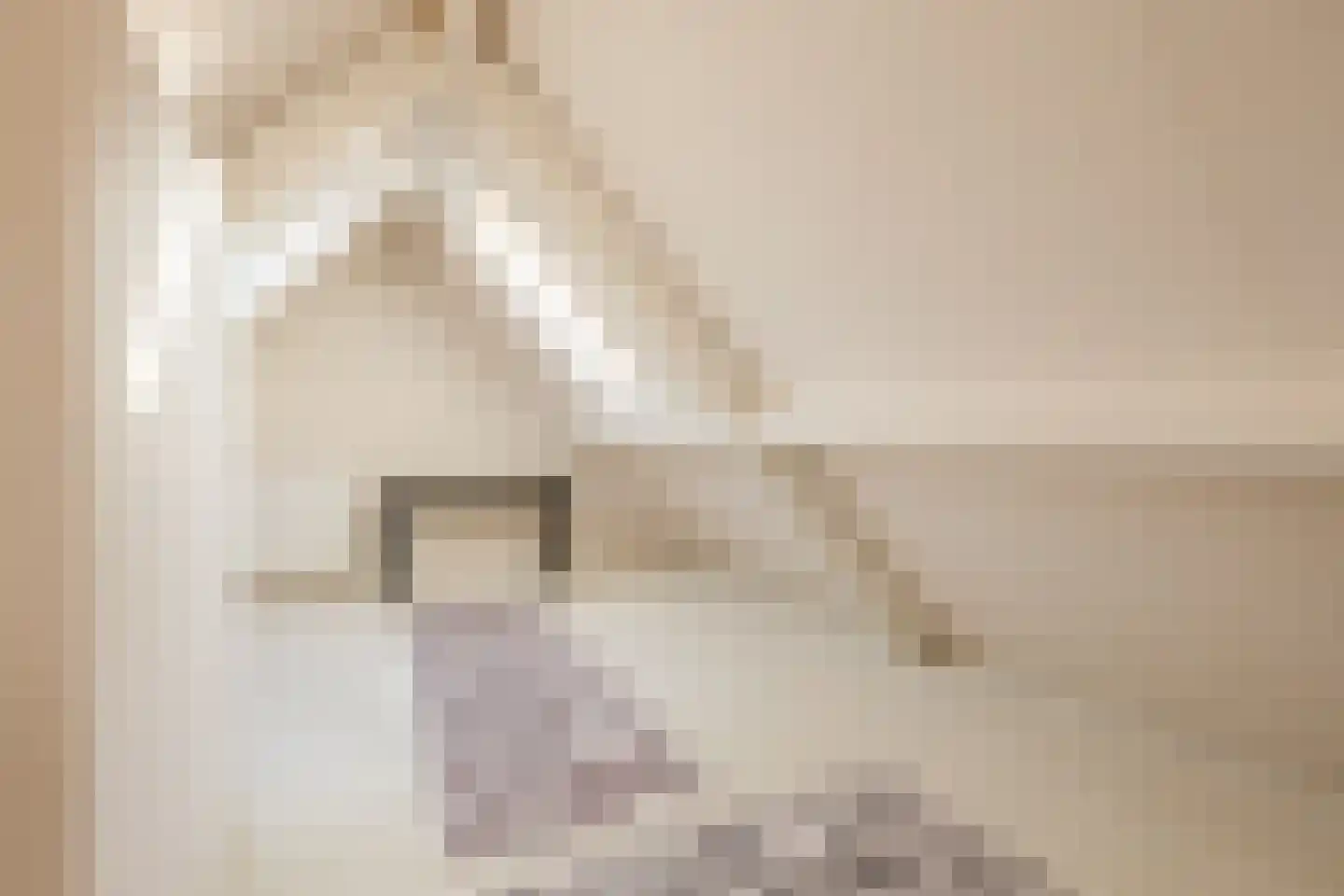 Hondelink 149 Haaksbergen thumbnail 27