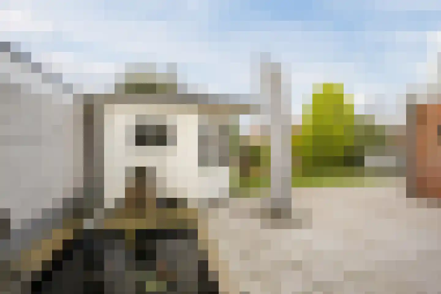 Hondelink 149 Haaksbergen thumbnail 29