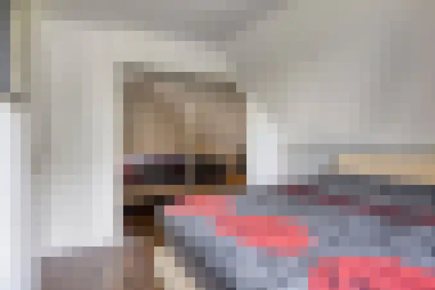 Hondelink 149 Haaksbergen thumbnail 29