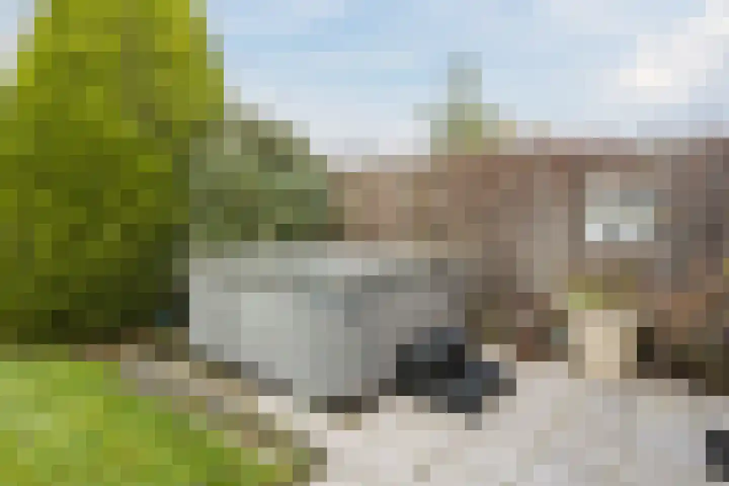 Hondelink 149 Haaksbergen thumbnail 30