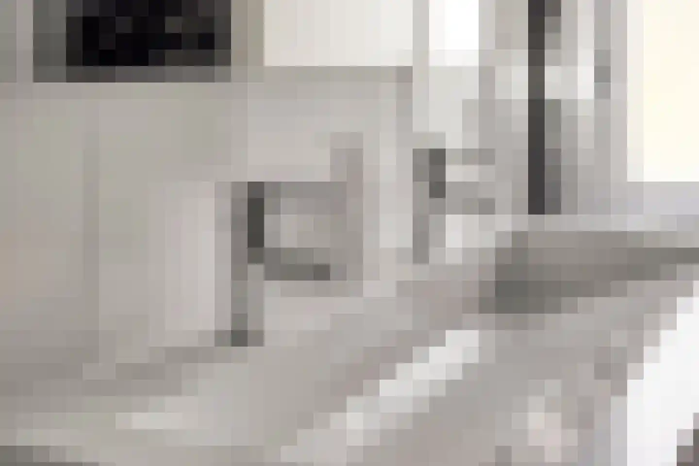 Hondelink 149 Haaksbergen thumbnail 32