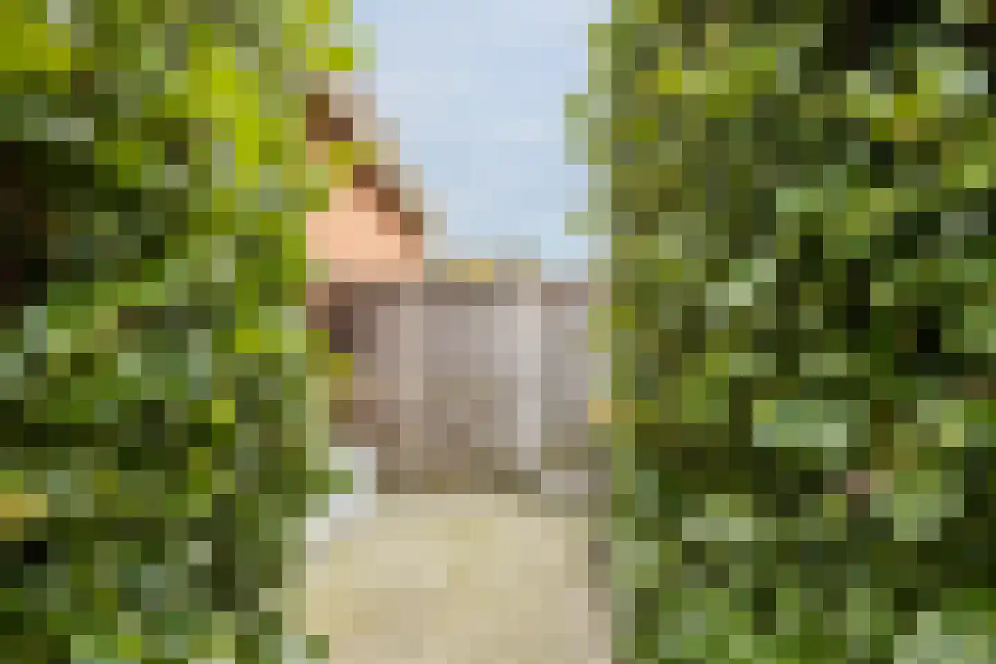 Hondelink 149 Haaksbergen thumbnail 32