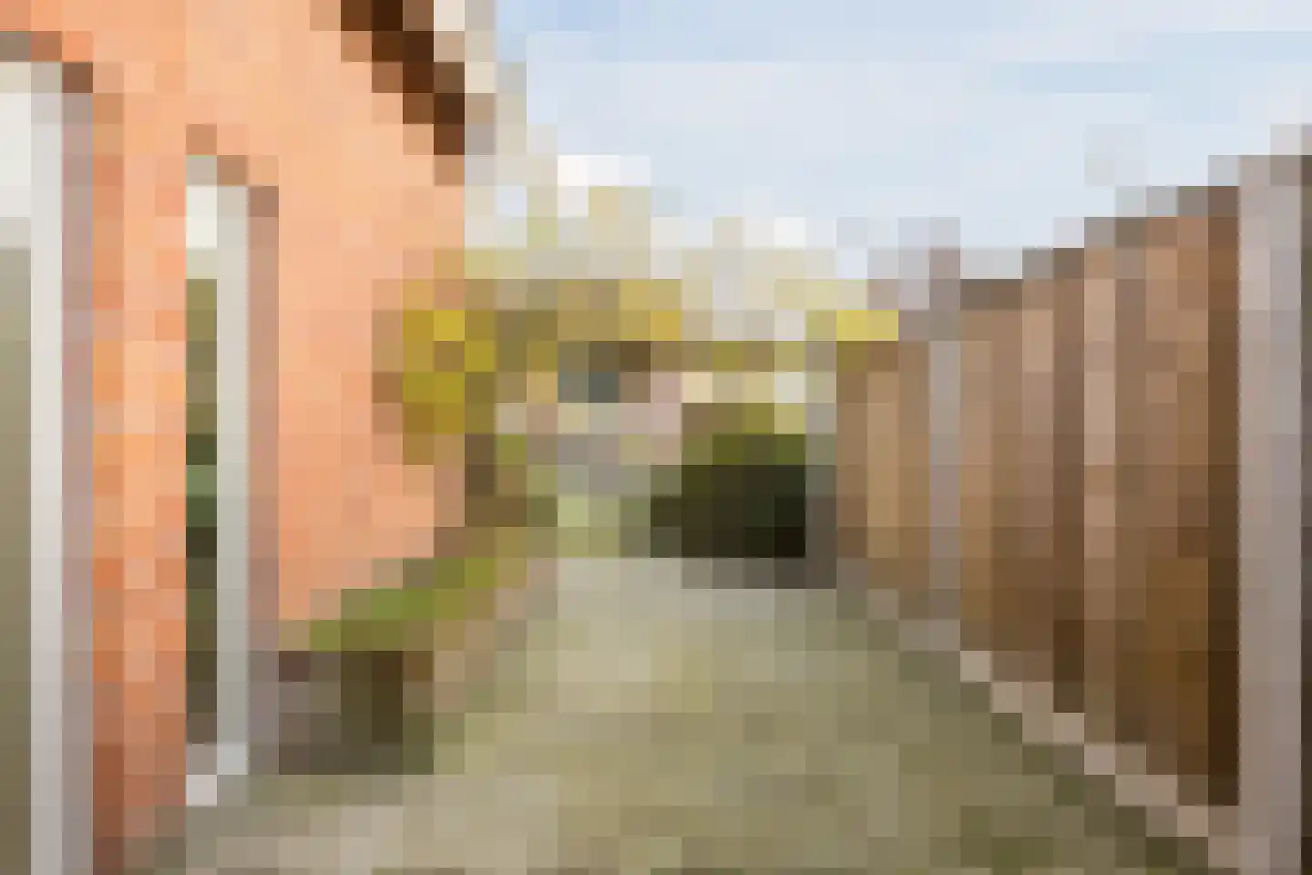 Hondelink 149 Haaksbergen thumbnail 33