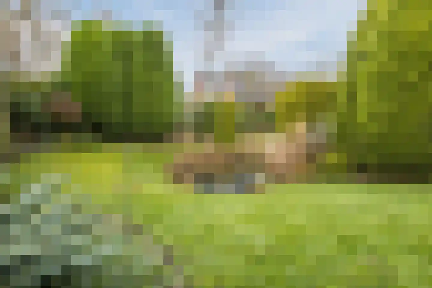 Hondelink 149 Haaksbergen thumbnail 34