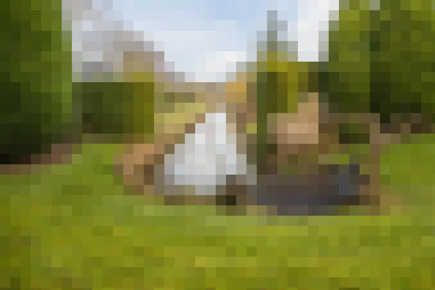 Hondelink 149 Haaksbergen thumbnail 36