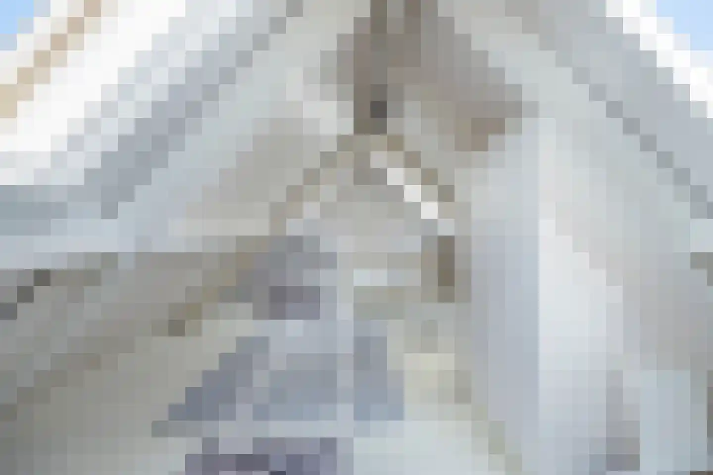 Hondelink 149 Haaksbergen thumbnail 37