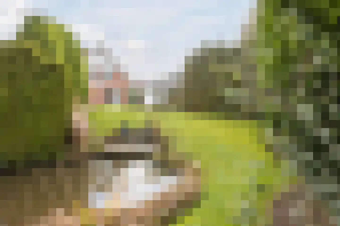 Hondelink 149 Haaksbergen thumbnail 37